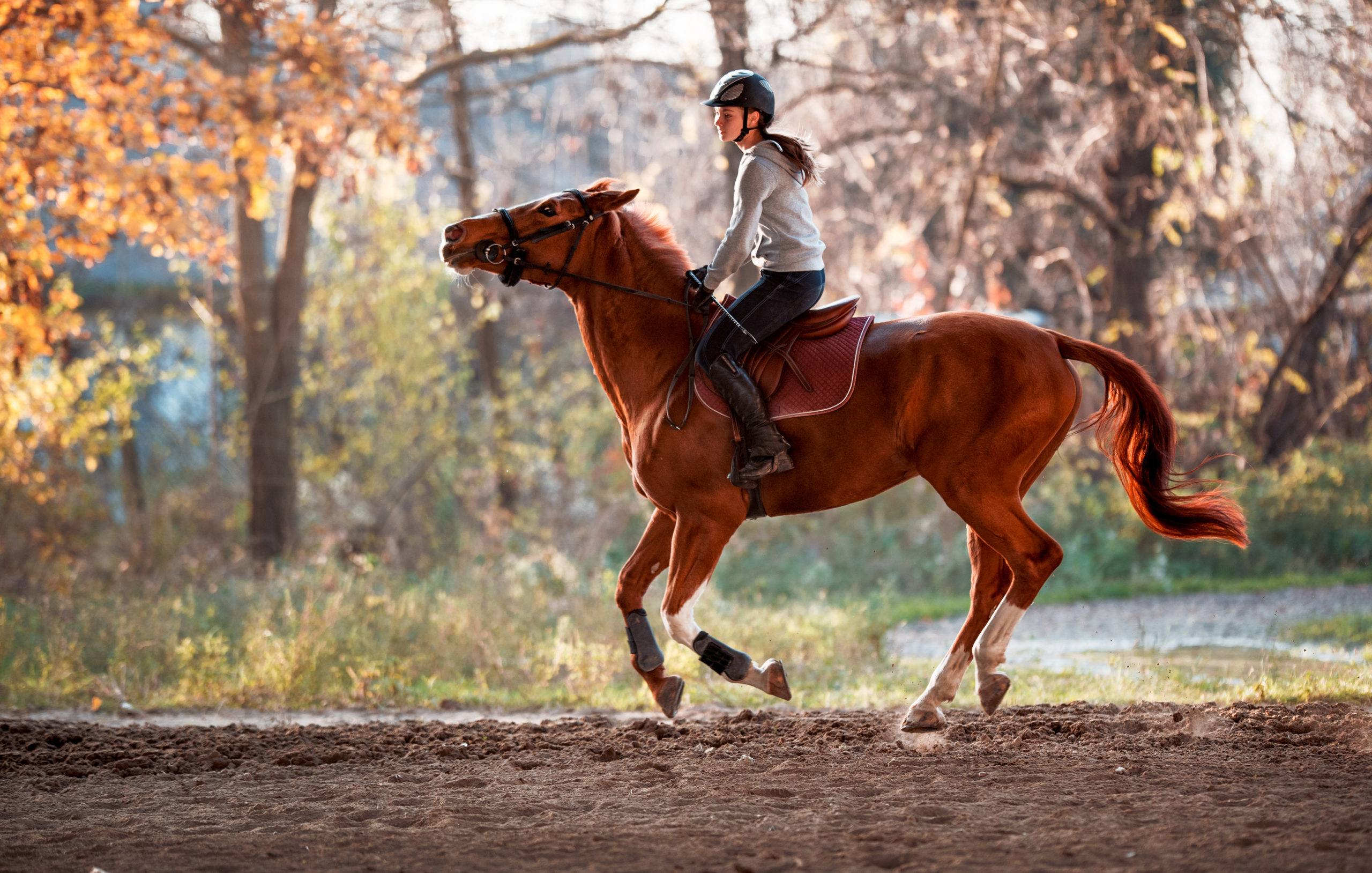 Boarding On The Lake – Trail Rides