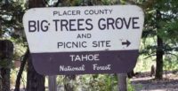 Big Trees Interpretive Trail Forest View Trail