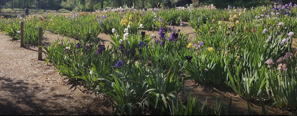 Mother’s Day Garden Tour