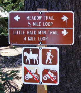 Little Bald Mountain Trail