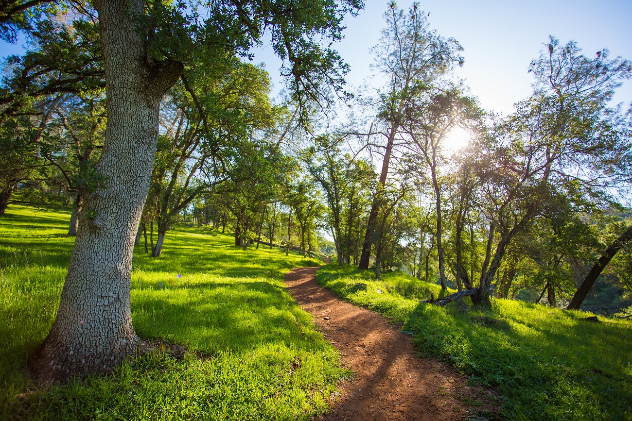 Indian Creek Trail