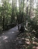 Windy Point Trail