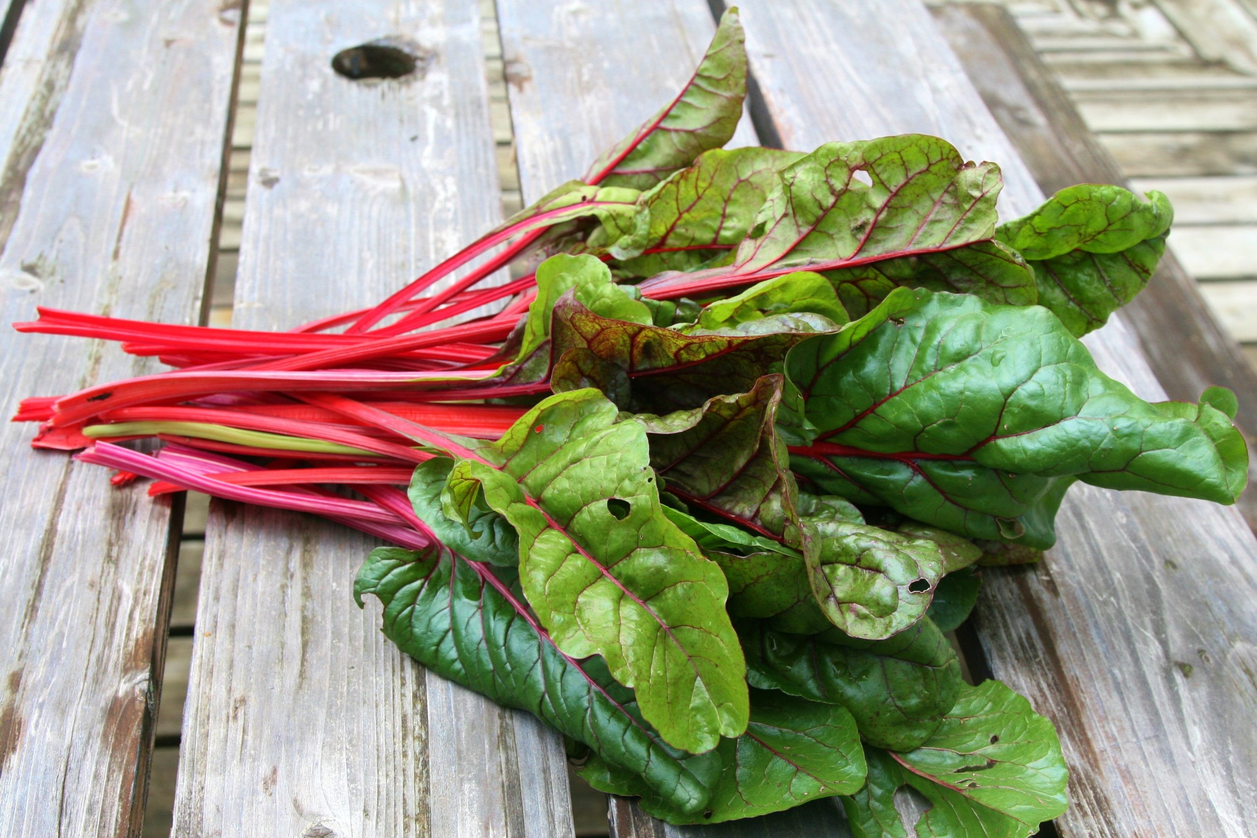 PlacerGrown Farmers Market In Lincoln Hills Visit Placer