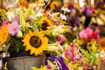 Fall Harvest Market