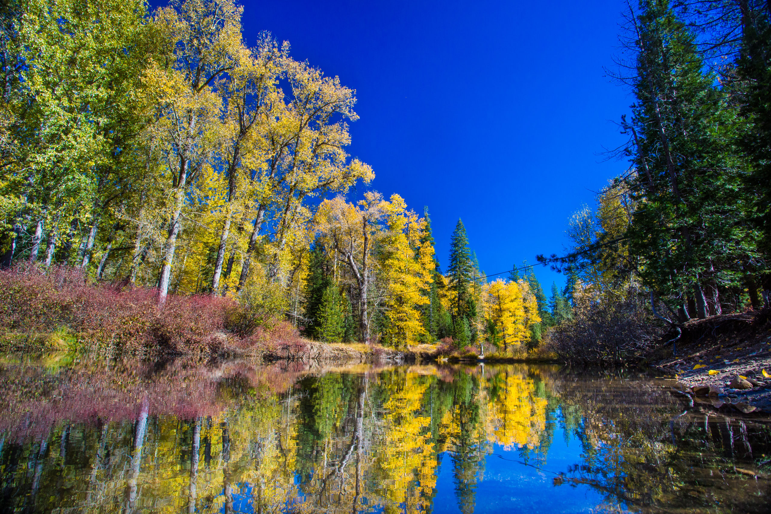 Auburn Gold Country RV Park | Visit Placer