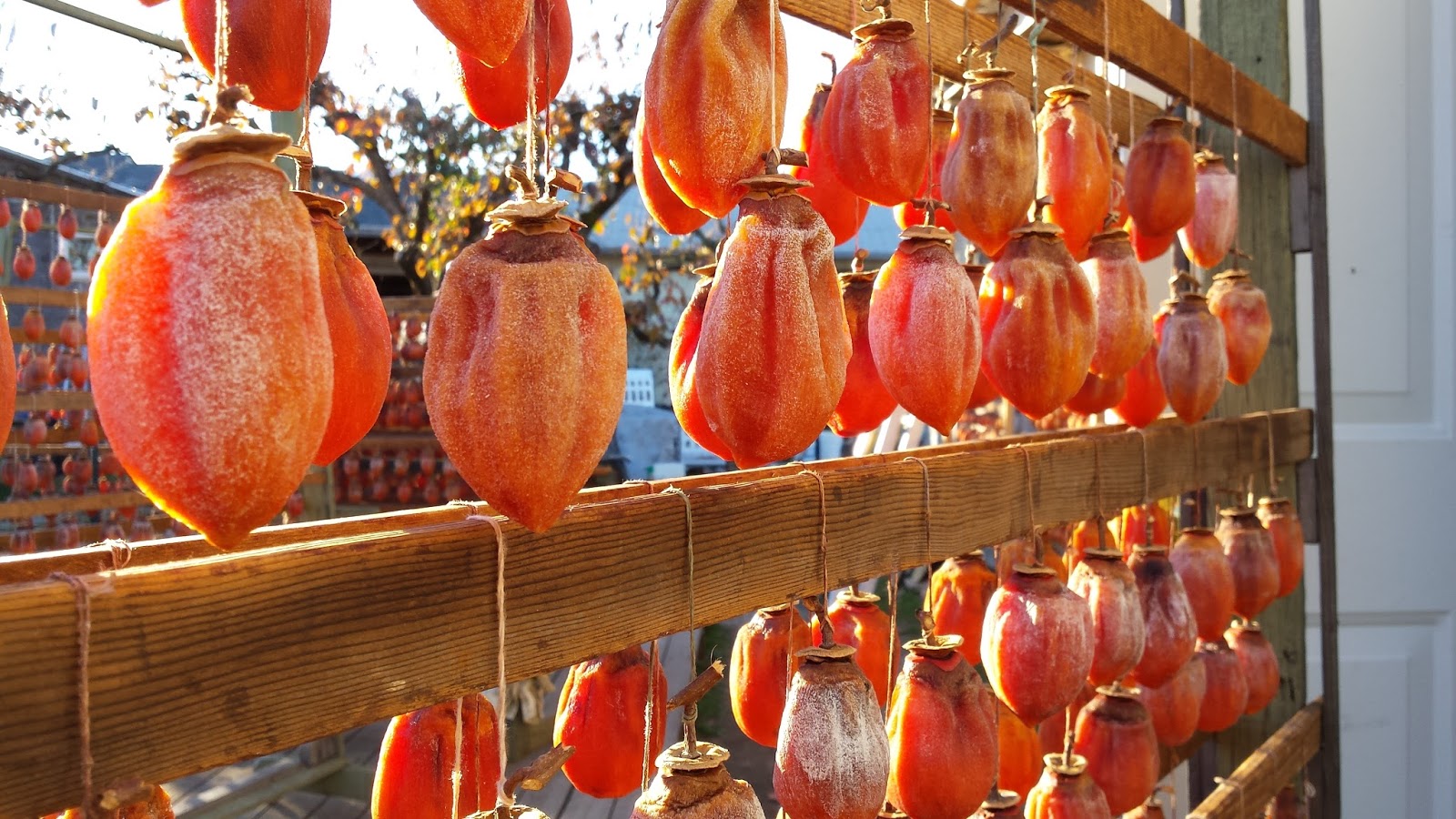 Otow Orchard Fruit Stand