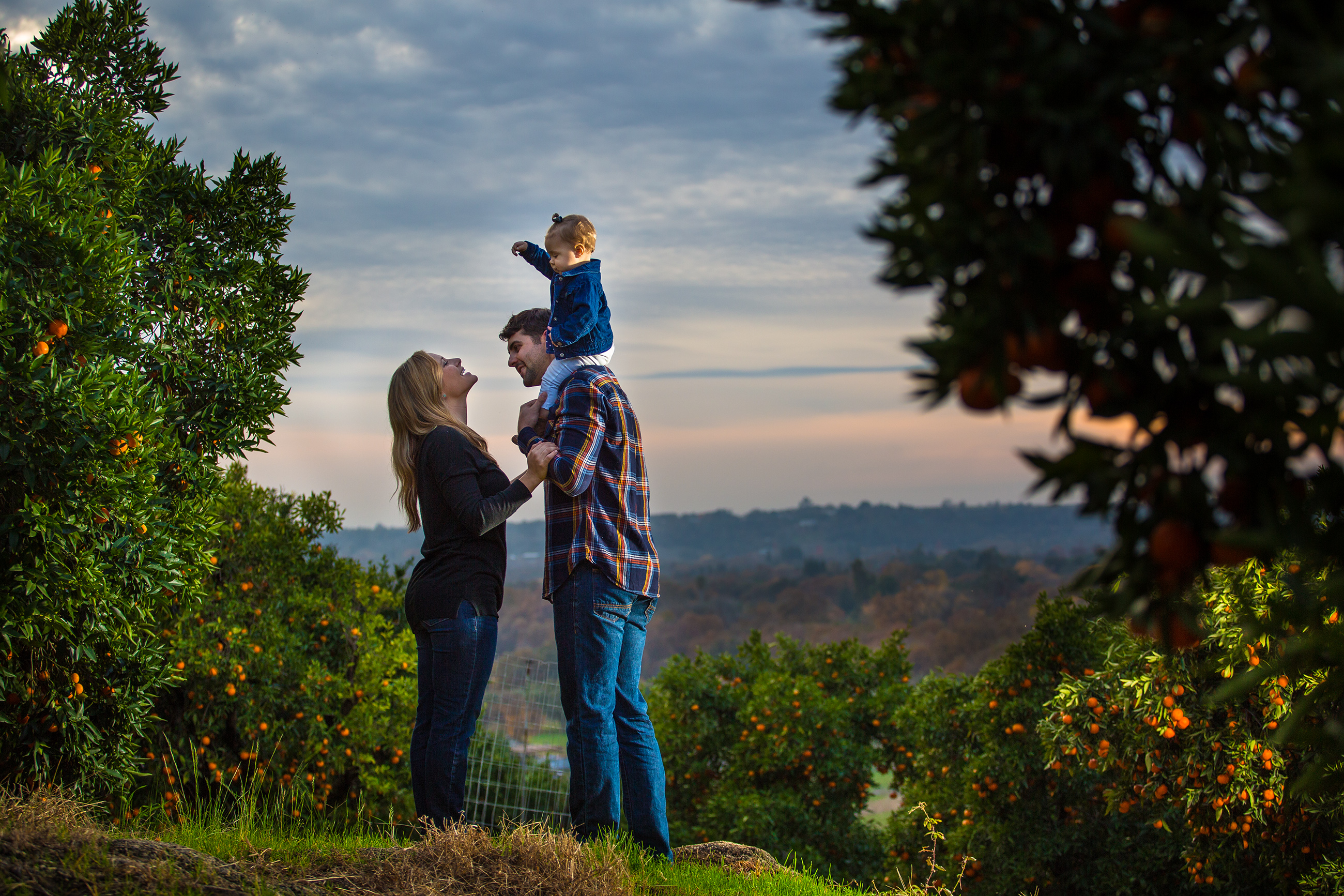 Placer County Farm Tours Placer County Farm Tours