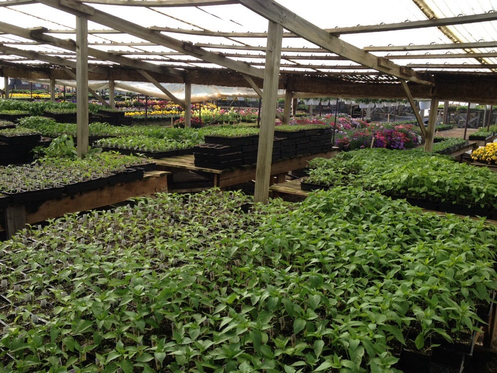 Green Acres Nursery & Supply at Eisley’s