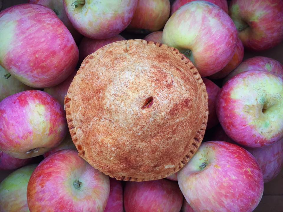 Machado Orchards