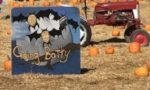 Rickey Ranch Pumpkin Farm