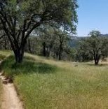 Stagecoach Trail