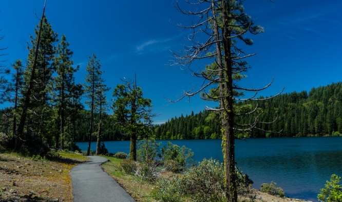 Sugar Pine Reservoir