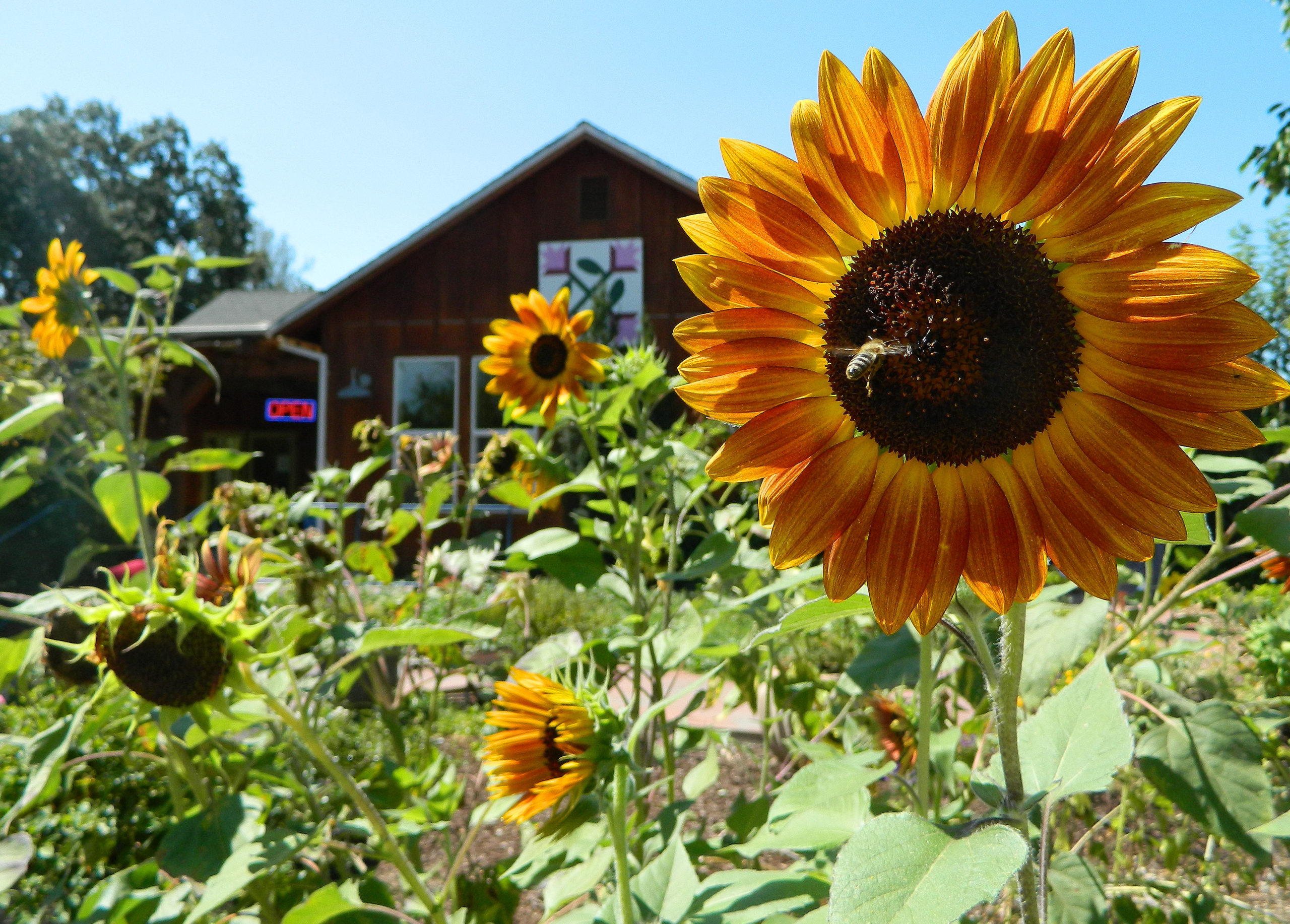 Flower Farm Nursery & Gift Shop