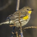 Traylor Ranch Nature Reserve and Bird Sanctuary