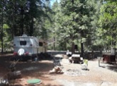 Shirttail Campground