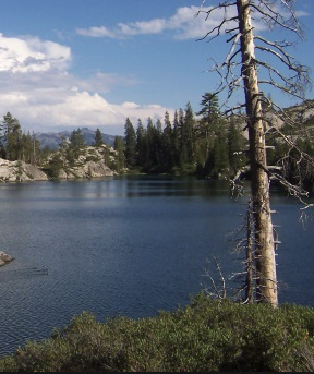 Kidd Lake Group Campground