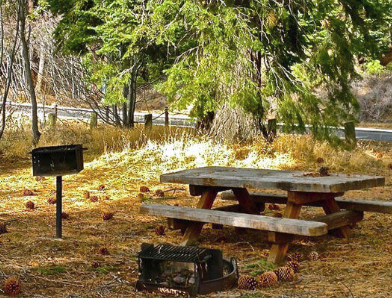 Lake Forest Boat Ramp & Campground