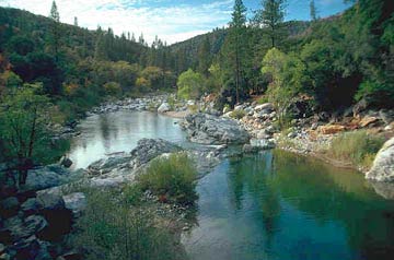 Mineral Bar Campground