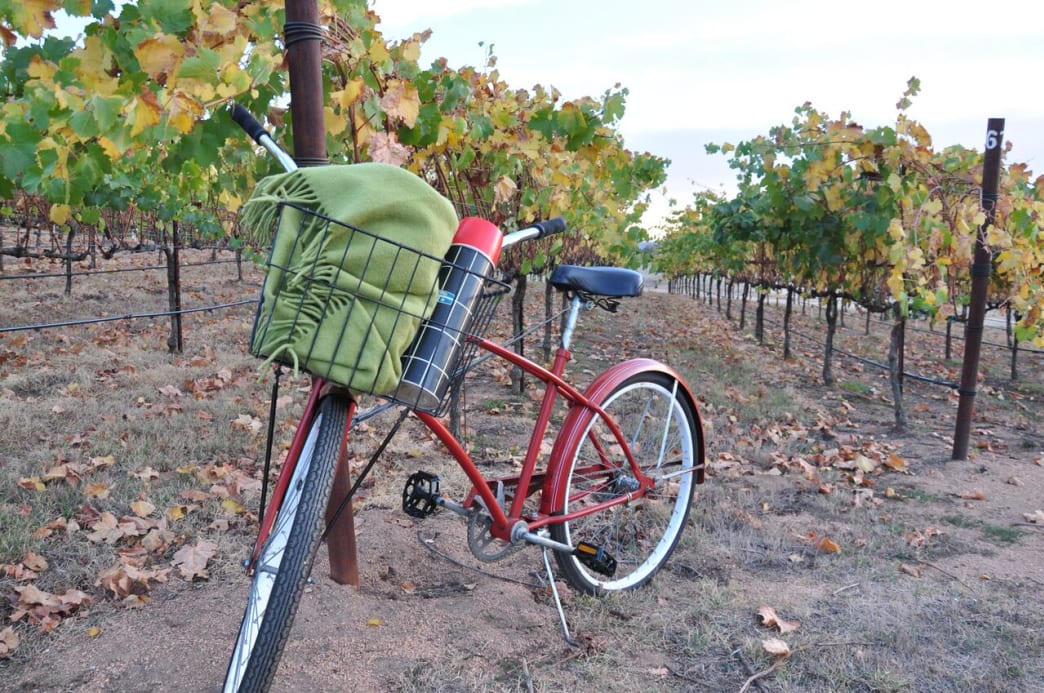 20181120_Visit Placer County_bike in vineyard