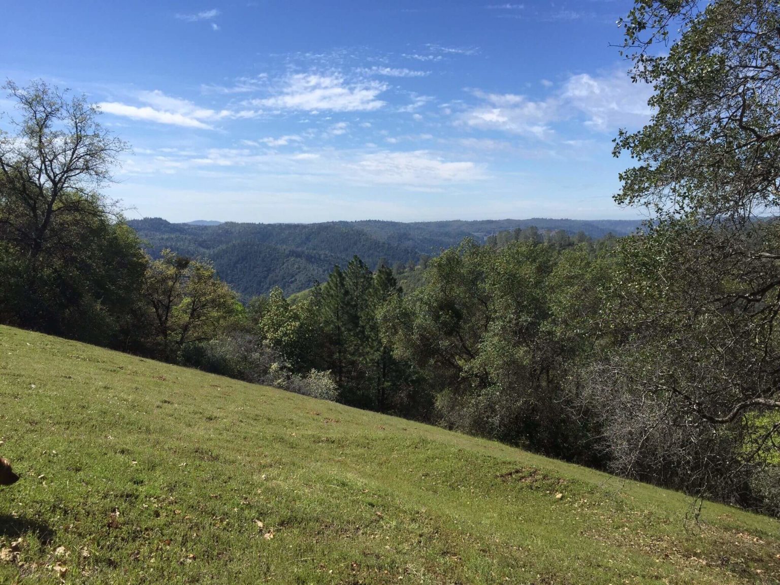 Foresthill Divide Loop Trail Visit Placer