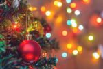 Roseville’s Christmas Tree Lighting