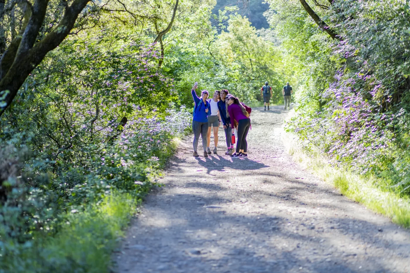 4 Reasons Placer County is a Hiking Haven
