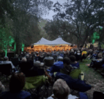 Auburn Symphony: Symphony & Art in the Park