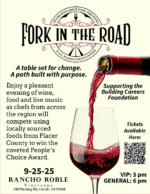Fork in the Road