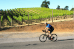 Tour de Lincoln