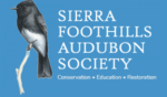 For The Love Of Birds Presented by the Sierra Foothills Audubon Society