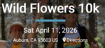 Wildflowers 2026 10K
