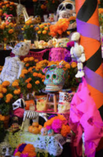 Placer County Museum: Community Ofrenda