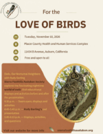 For the Love of Birds: Owls, Our Nocturnal Neighbors