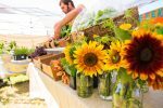 Farmers Markets & Farm Stands